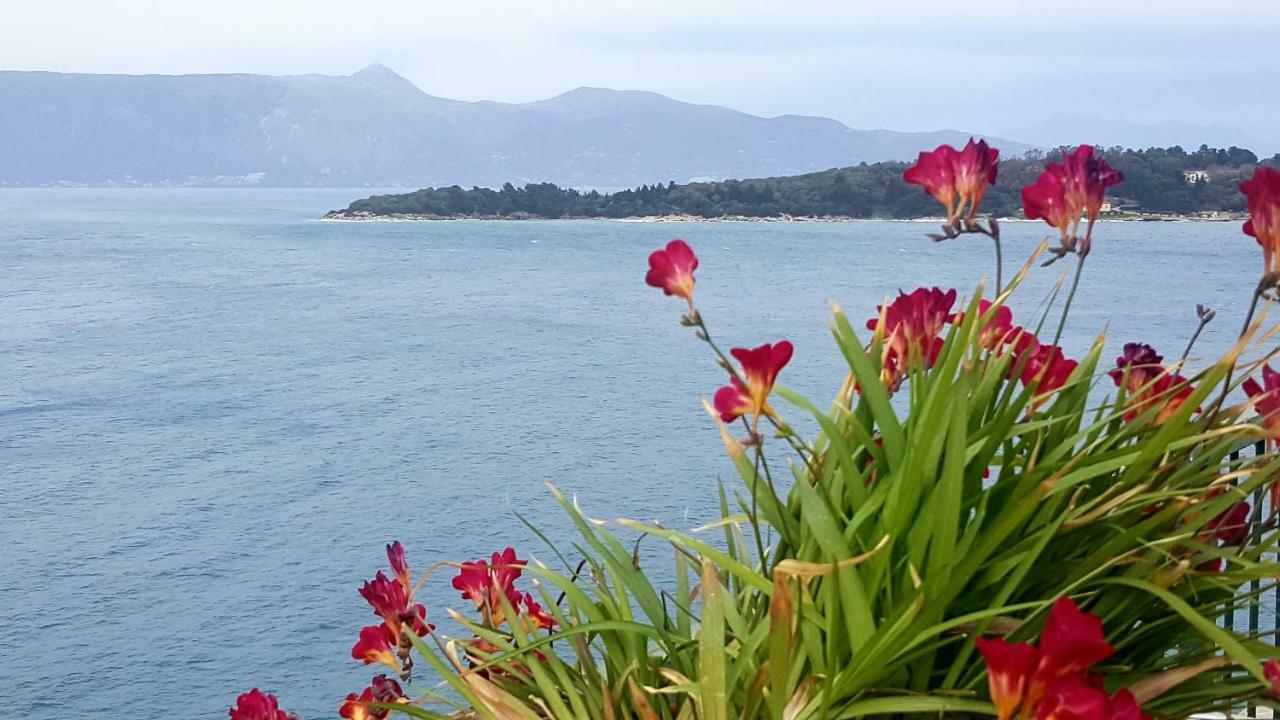 Roof Garden House Διαμέρισμα Corfu  Εξωτερικό φωτογραφία